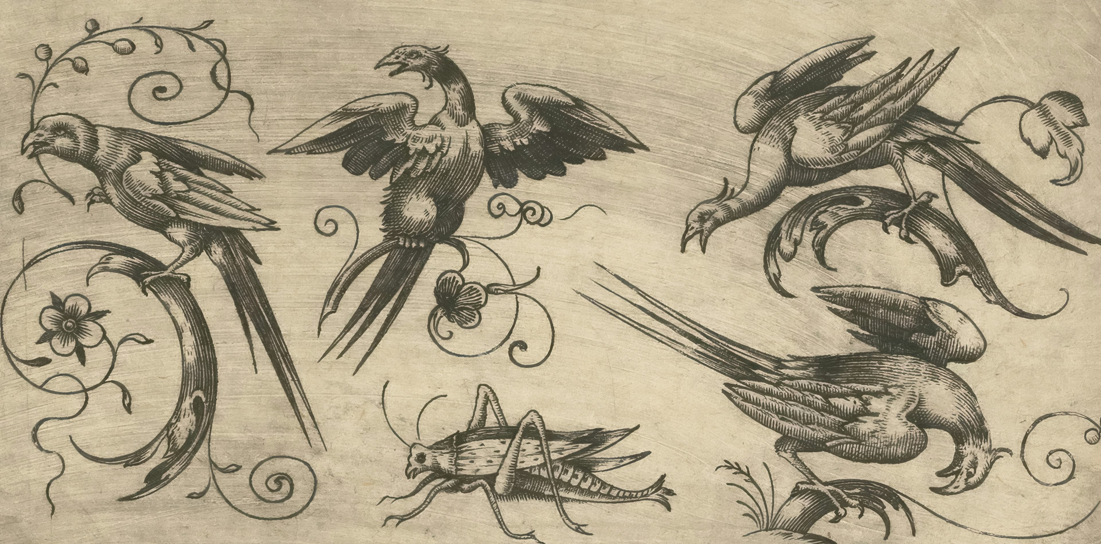 Panel ornamental de aves como diseño flash